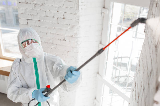 Reliable Forest Lake, MN Mold Remediation Solutions